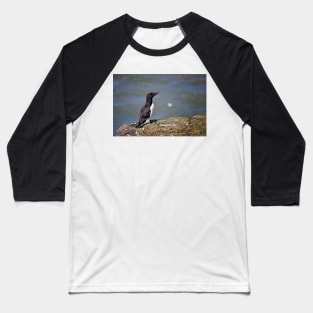 Razorbill Baseball T-Shirt